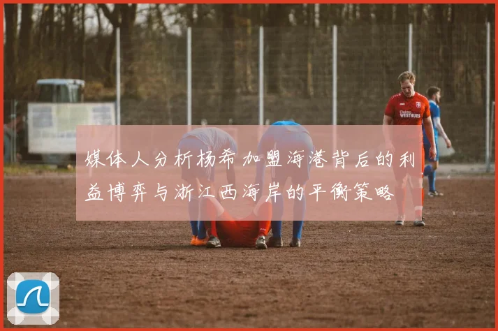 媒体人分析杨希加盟海港背后的利益博弈与浙江西海岸的平衡策略